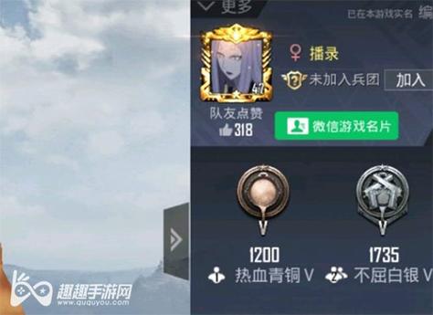 和平精英ios《挑战者》辅助完美上分皇冠